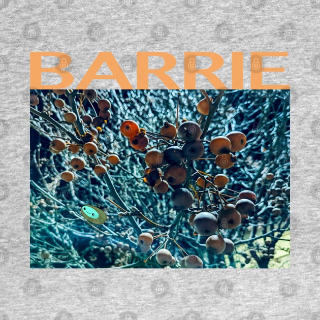 Barrie band fan by Noah Monroe